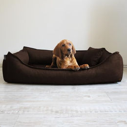 tierlando Orthopädisches Hundebett Donald mit Viscoschaum Matratze und rutschfester Unterseite Braun Größe L – Bild 1 von 4
