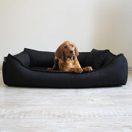 tierlando Orthopädisches Hundebett Donald mit Viscoschaum Matratze und rutschfester Unterseite Schwarz Größe L – Bild 1 von 5