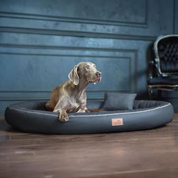 tierlando Orthopädisches Hundebett Gilbert VIP mit Latexfüllung aus Velours und Kunstleder für Allergiker, 85x65cm, Graphit – Bild 1 von 4