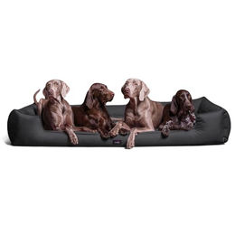 tierlando Orthopädisches Hundebett Goofy für große Hunde XL mit waschbarem Polyester-Bezug in Graphit/Schwarz 160x110cm – Bild 1 von 11