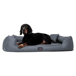 tierlando Orthopädisches Hundebett Goofy mit Memory Foam für große Hunde XL in Grau – Bild 1 von 12