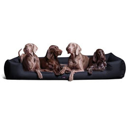 tierlando Orthopädisches Hundebett Goofy mit Memory Foam für große Hunde XL in Navy Dunkelblau 160x110cm – Bild 1 von 11