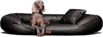 Tierlando Orthopädisches Hundebett Lennart Visco Plus aus Kunstleder Schwarz 100 x 85 x 25 cm – Bild 1 von 3