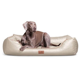 tierlando Orthopädisches Hundebett Louis aus gestepptem Kunstleder mit Memory Foam Matratze XL Beige 120x85cm – Bild 1 von 11