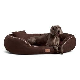 tierlando Orthopädisches Hundebett Marlon Visco Plus mit Velours-Bezug Braun 170x110cm – Bild 1 von 9