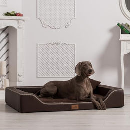 tierlando Orthopädisches Hundebett Melody VIP mit Latex-Matratze aus Kunstleder und Velours Braun 100x75cm – Bild 1 von 6