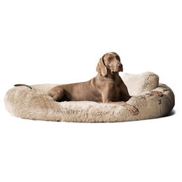 tierlando Orthopädisches Hundebett Pamela aus Shaggy Plüsch in Beige 175x115cm – Bild 1 von 8