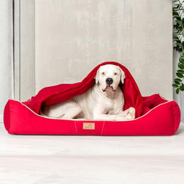 tierlando Orthopädisches Hundebett Rudolph mit Schonbezug und Hundedecke Rot Größe L – Bild 1 von 10