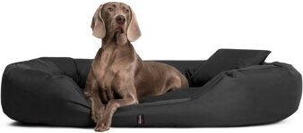 Tierlando Orthopädisches Hundebett SAMMY aus robustem Polyester in Anthrazit Grau 170 x 110 x 35 cm – Bild 1 von 3