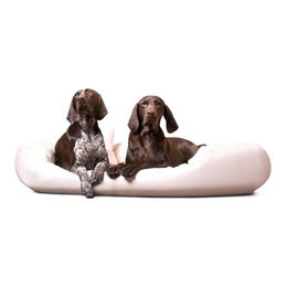 tierlando Orthopädisches Hundebett Sammy Easy Clean mit viscoelastischer Matratze aus Kunstleder in Beige Größe 140x105cm – Bild 1 von 5