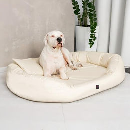 tierlando Orthopädisches Hundebett Sammy mit viscoelastischer Matratze aus Polyester in Beige Größe 140x105cm – Bild 1 von 3