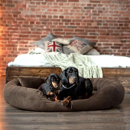 tierlando Orthopädisches Hundebett Sammy Soft mit viscoelastischer Matratze und Veloursrand Braun Größe 140x105cm – Bild 1 von 7
