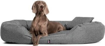 Tierlando Orthopädisches Hundebett SAMMY XXL aus robustem Polyester in Grau 170 x 110 x 35 cm – Bild 1 von 3