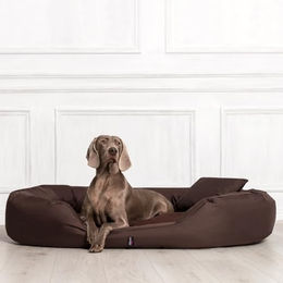 tierlando Orthopädisches Hundebett Sammy XXL mit viscoelastischer Matratze aus Polyester Braun 140x105cm – Bild 1 von 6