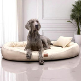 tierlando Orthopädisches Hundebett Tiffany Easy Clean aus Kunstleder für große Hunde und Riesenrassen XXL Beige 145x105 cm – Bild 1 von 3