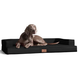 tierlando Orthopädisches Hundesofa Gibson aus Kunstleder mit Visco-Matratze Schwarz 80x60cm – Bild 1 von 9