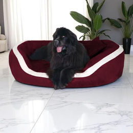 tierlando Pepper Orthopädisches Hundebett Visco XL aus Velours in Bordeaux Rot 110cm – Bild 1 von 3