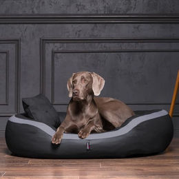 tierlando Pepper Orthopädisches Hundesofa aus Kunstleder mit Visco-Matratze XL Graphit Grau – Bild 1 von 3