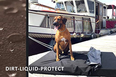 tierlando Quick-Cover Soft Velours Matratzenschoner für Hundematratzen Alice Beige Größe M – Bild 1 von 6