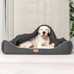 tierlando Rudolph Orthopädisches Hundebett mit Schonbezug und Hundedecke Graphit Schwarz Größe 130x100cm – Bild 1 von 5