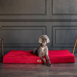 tierlando Stuart Ortho Plus Orthopädische Hundematratze mit Memory Foam in Rot XL 120x90cm – Bild 1 von 3