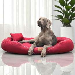 tierlando Tiffany Couture Orthopädisches Hundebett XXL mit Memory Foam Dunkelrot 145x105cm – Bild 1 von 4
