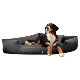 tierlando Trivia Komfort Hundebett orthopädisches Eckbett mit abnehmbarem Bezug 100x100cm Graphit – Bild 1 von 8