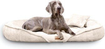 Tierlando XENIA Orthopädisches Hundebett aus Plüsch in Beige 115 x 90 x 20 cm – Bild 1 von 1