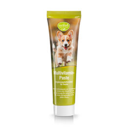 tierlieb Multivitamin-Paste für Hunde aller Altersstufen und Größen 100 g – Bild 1 von 1