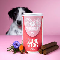 Produktbild von Tierliebhaber-Animagus Gelenk Sticks mit Insekten für Hunde und Katzen 350g - 350 g