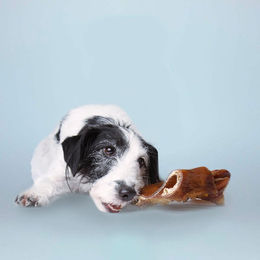 Produktbild von Tierliebhaber-Animagus Rinderkopfhautplatte Monoprotein und getreidefrei Naturkaukartikel für Hunde - 5 x 500 g