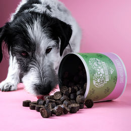 Tierliebhaber Darmpflege Tropfen für Hunde zur Magen-Darm-Unterstützung 3x350g – Bild 1 von 6