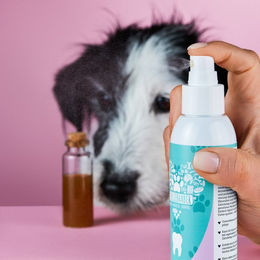 Tierliebhaber Dentalspray Natürliche Zahnpflege 3x150ml – Bild 1 von 5