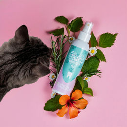 Tierliebhaber Dentalspray Zahnpflege für Katzen 3x150ml – Bild 1 von 4