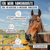 Produktbild von Tierliebhaber Immunkräutersaft für Pferde zur Immunstärkung 1L - 1 l