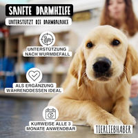 Produktbild von Tierliebhaber W-Snack Funktionssnack für Hunde vegan und ohne tierisches Protein 350g - 350 g