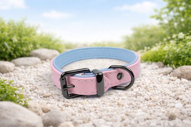 Tierluxe Hunde-Halsband Klassiker aus Leder in Rosa für erwachsene Hunde – Bild 1 von 4