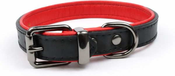 Tierluxe Hunde-Halsband Klassiker aus Leder in Schwarz für erwachsene Hunde – Bild 1 von 5