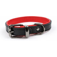 Produktbild von Tierluxe Hunde-Halsband Klassiker aus Leder in Schwarz für erwachsene Hunde