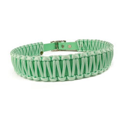Produktbild von Tierluxe Hundehalsband Lori Mini aus Biothane in Grün XS mit 20-25 cm Halsumfang wasserabweisend