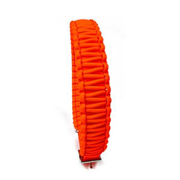 Produktbild von Tierluxe Hundehalsband Lori Mini aus Biothane in Orange Neon XS