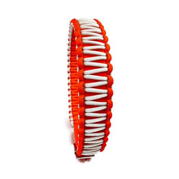 Produktbild von Tierluxe Hundehalsband Mini aus Biothane Orange Weiß Neon XS