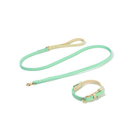 Produktbild von Tinklylife Comfy Halsband Set aus Leder in Pastelltürkis mit Gold-Details Größe S inklusive Führleine