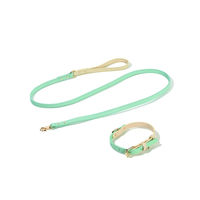 Produktbild von Tinklylife Comfy Halsband Set Leder Pastelltürkis mit Gold Grösse M