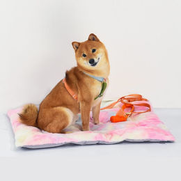 Produktbild von Tinklylife Faltbares Hundekissen Regenbogen Bunt aus Polyester