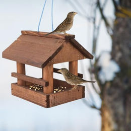 Tintours Vogelfutterhaus aus Holz in Braun 22 cm x 19 cm x 20 cm - 1 Stk. – Bild 1 von 7