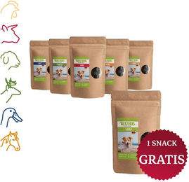 Produktbild von Tjure Hund Belohnungssnack All in One Box mit Ente Hirsch Rind Lamm Pferd getreidefrei 6 x 150 g