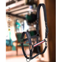 Produktbild von Tommy Hilfiger Equestrian Halfter Lincoln Desert Sky Blau
