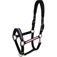 Produktbild von Tommy Hilfiger Equestrian Yale Set aus Halfter und Longiergurt für Pferde in Schwarz und Bunt