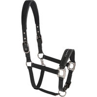 Produktbild von Tommy Hilfiger Equestrian Yale Shine Set Halfter mit Strick Schwarz für Vollblut aus Polypropylen und Polyester